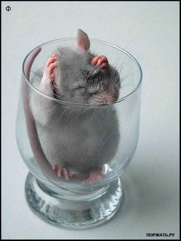 Подборочка фотоприколов (10 фоток)
