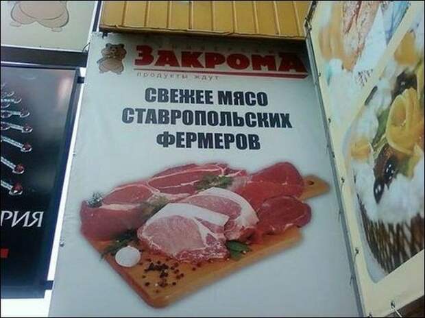 Прикольные надписи и объявления маразм, надпись, юмор