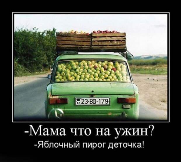Демотиваторы забавные, новые и только прикольные для вас!