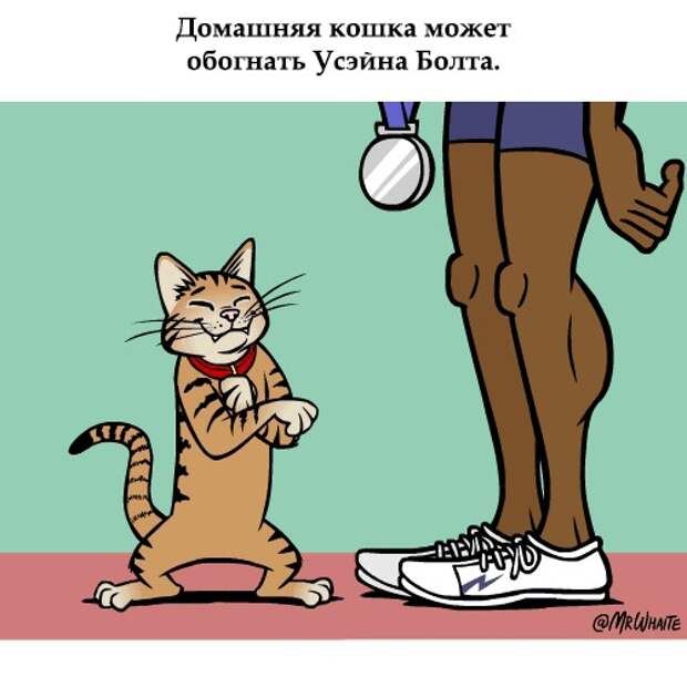 gifkah-zoologiya-zanimatelnaya-eto-interesno-poznavatelno-kartinki gifkah-zoologiya-zanimatelnaya-eto-interesno-poznavatelno-kartinki