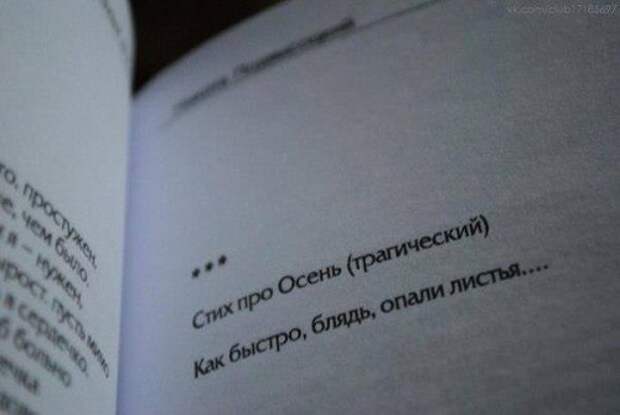 Веселости в картинках и фото (40 шт)