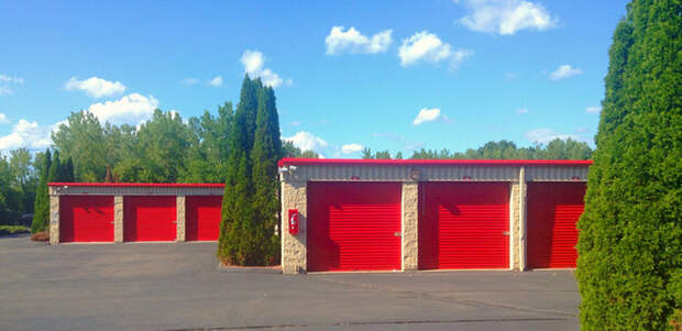 11 жутких факта