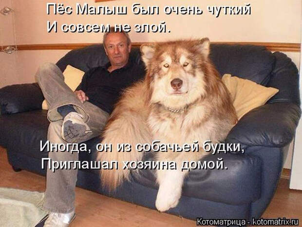 1433454584_02 (700x525, 324Kb)