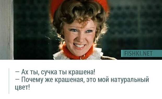 20 незабываемых цитат из фильма "Любовь и голуби" 20 незабываемых цитат из фильма "Любовь и голуби" Любовь и голуби, кино, цитаты