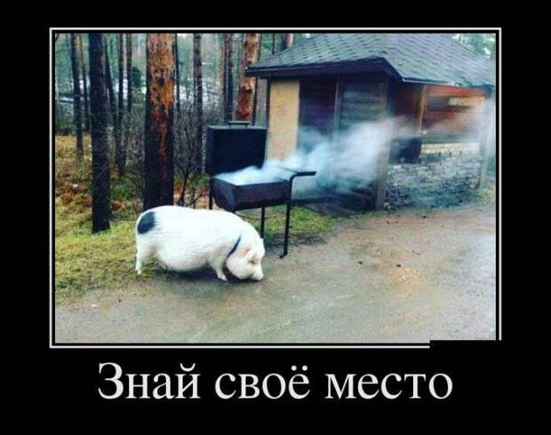 Обалденная демотивация Обалденная демотивация