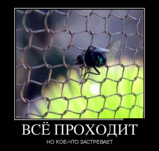 Демотиваторы (30 фото)