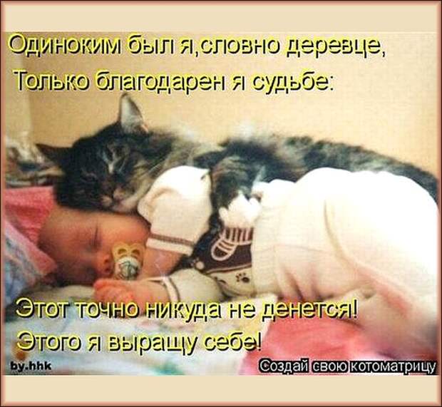 УЛЫБНЕМСЯ,  ДРУЗЬЯ!..
