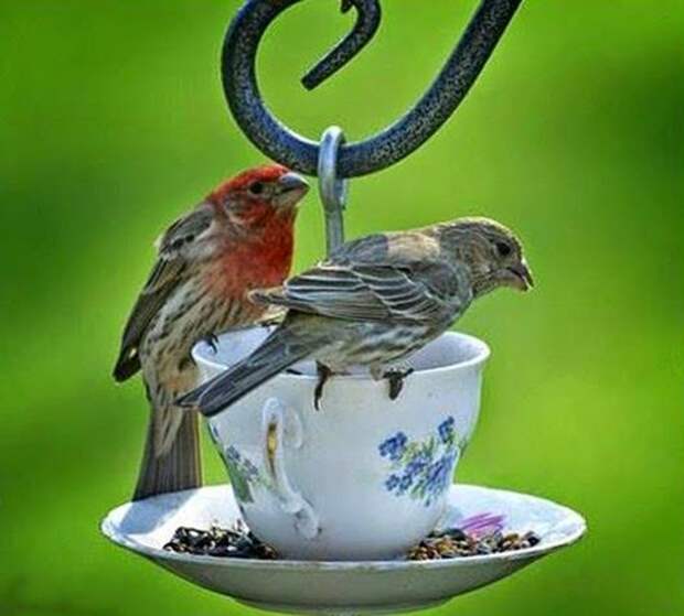 clip_image023