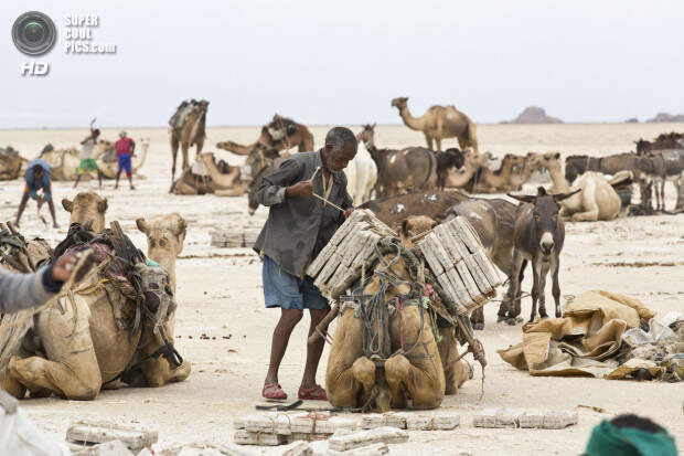 Mining the salt of the earth