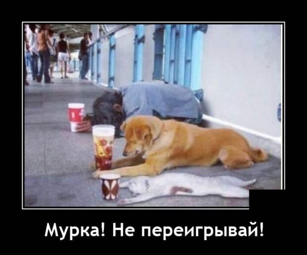 Демотиваторы 26 июля 2021 года