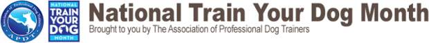logo_tydm