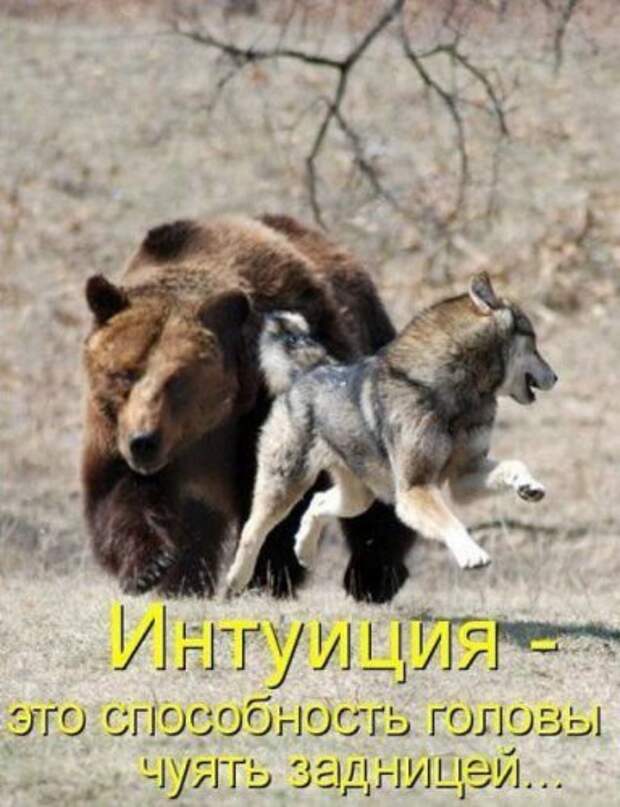 Прикольная котоматрица (22 шт)