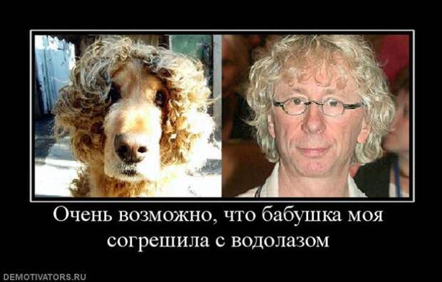Демотиваторы демотиваторы, юмор