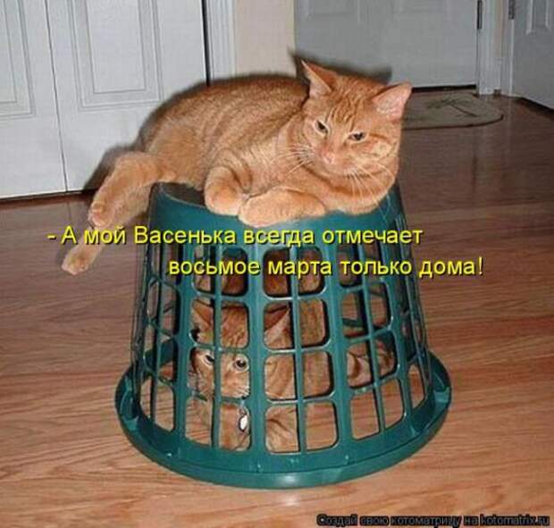 Котоматрицы (картинки с надписями)