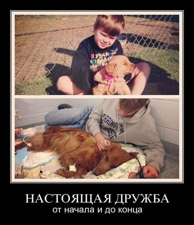Демотиваторы (30 фото) Демотиваторы (30 фото)