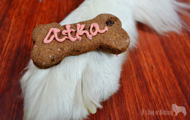 One Dog Organic Bakery sells healthy, wholesome dog treats just for your dog.