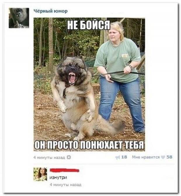 Прикольные комментарии из соцсетей