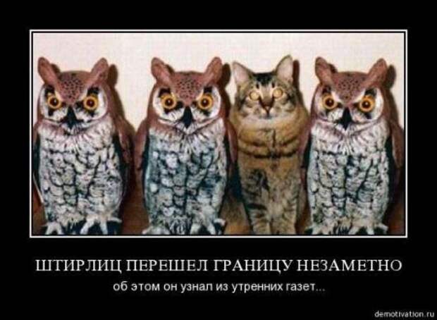 Демотиваторы смешные на сегодня.