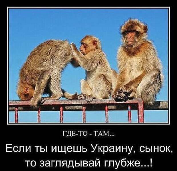 f8a9d51faad74d5c5056981cea59f40c.jpg