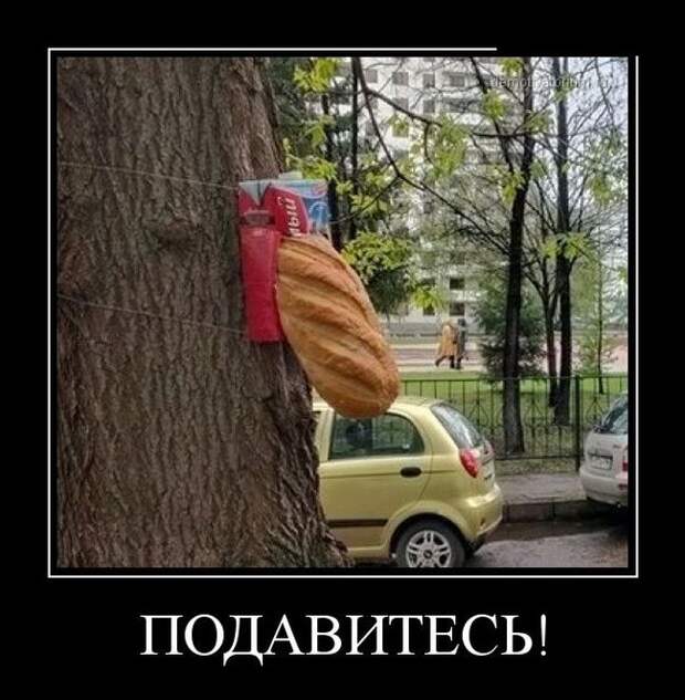 Демотиваторы  демотиваторы, прикол, смех, юмор