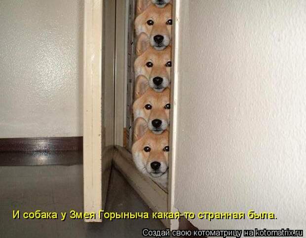 Котоматрица: И собака у Змея Горыныча какая-то странная была.