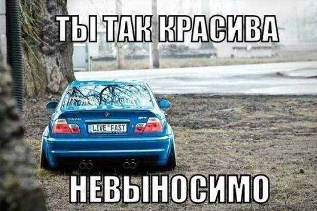 Автомобильный юмор: прикольные картинки и фото
