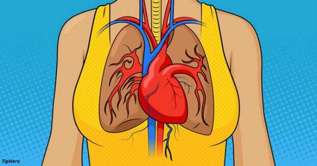 8 сигналов о том, что у вас будет сердечный приступ