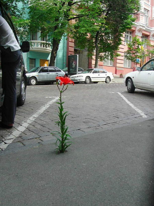 На что способно время в фотографиях