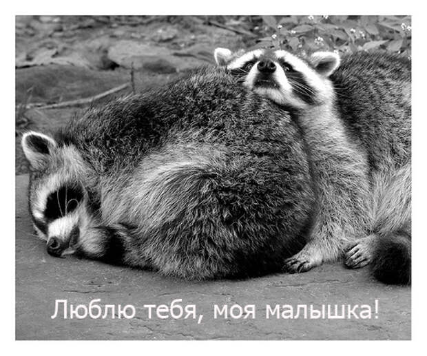 Подборочка прикольных открыток