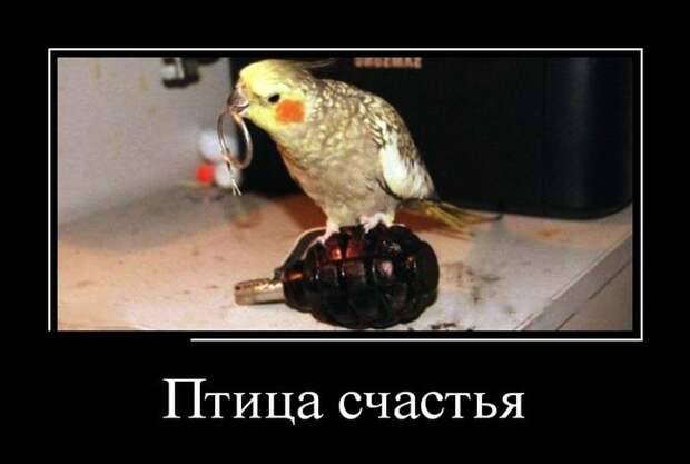 Демотиваторы (30 фото)