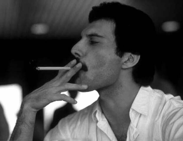 Памяти Фредди Меркьюри