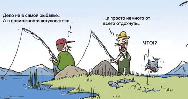 Пятничная подборка приколов Анекдоты, коты, юмор
