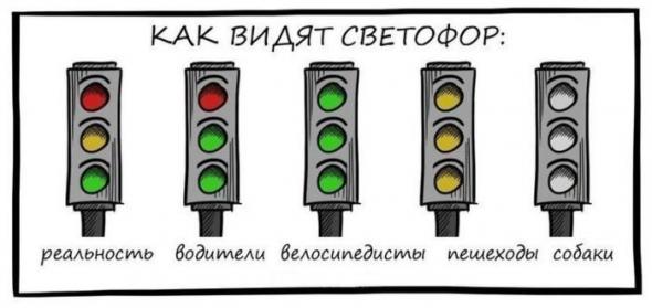 Подборка автоприколов - 23