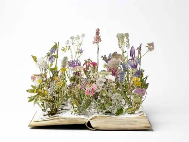 Бумажные скульптуры цветов от Сью Блэквелл. Фото