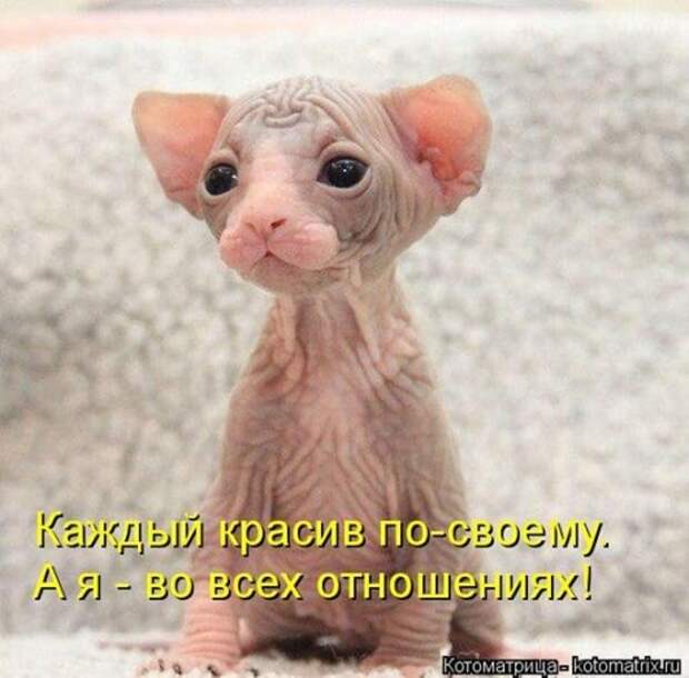7b629fb32261915f7d824f32639_prev