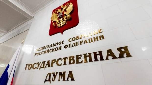 Проект об отмене наказаний за митинги некорректно внесли в Госдуму Проект об отмене наказаний за митинги некорректно внесли в Госдуму