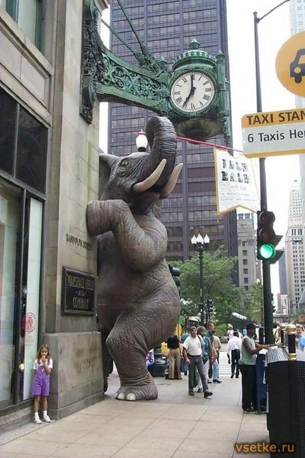 Слон в натуральную величину из Чикаго