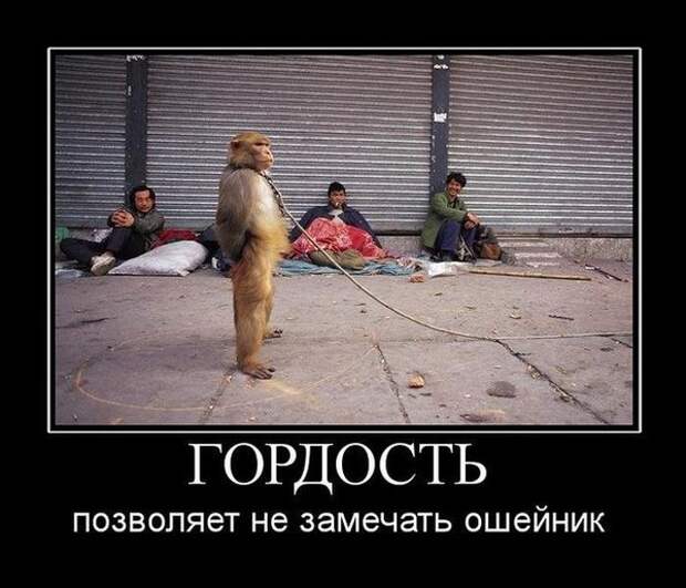 Демотиваторы Демотиваторы демотиваторы, прикол, юмор