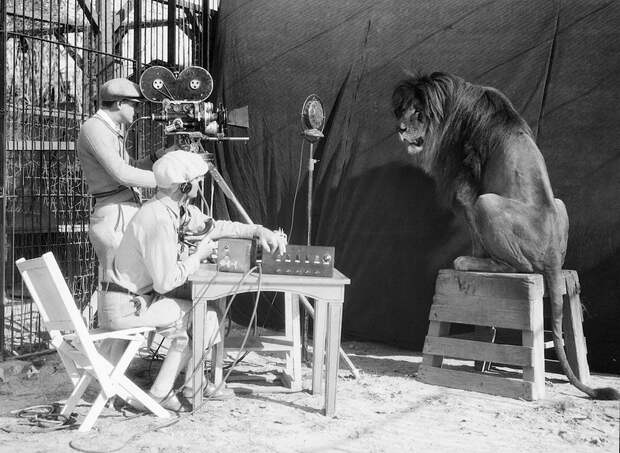 MGM-Lion-7.jpg MGM-Lion-7.jpg