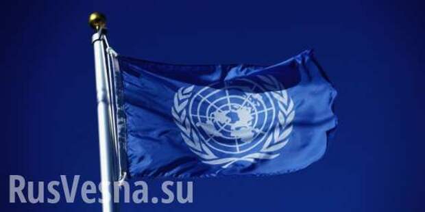 ООН приняла резолюцию о борьбе с героизацией нацизма, Украина и США — против | Русская весна