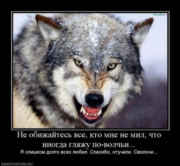 Демотиваторы со смыслом картинки.