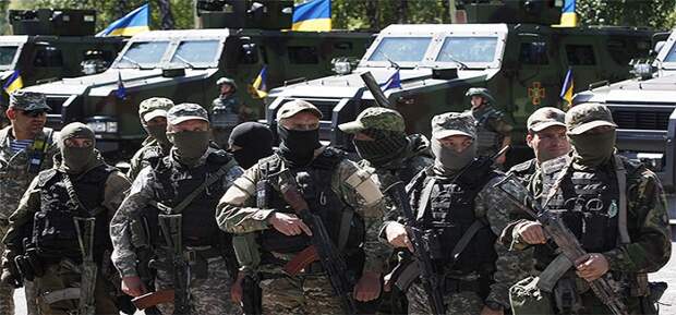 Минобороны Украины озвучило количество погибших за время военных действий в Донбассе