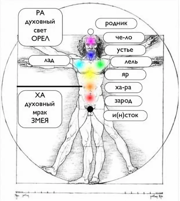 Какая бывает энергия у человека. Чакры человека Славянская система. Славяна-Арийская система чакр. Энергетическая система человека и чакры. Чакральная система славян.