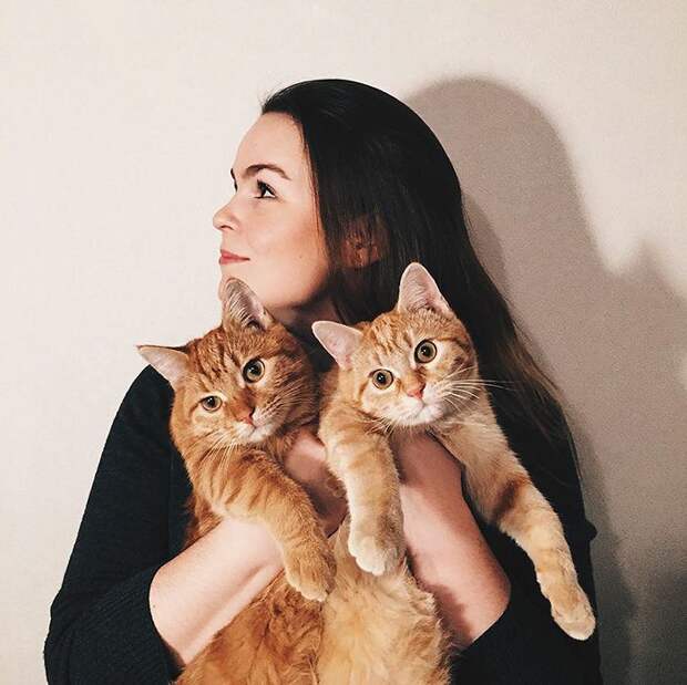 два рыжих кота найденные в саду, москвичка нашла двух котов, эти коты не расставались ни на один день
