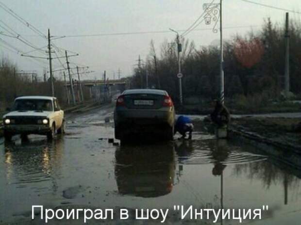 Хорошему человеку только прикольные фото.