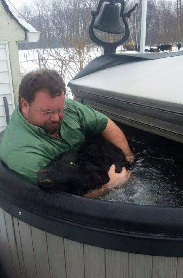 Прикольные картинки. Вечерний выпуск (57 фото)