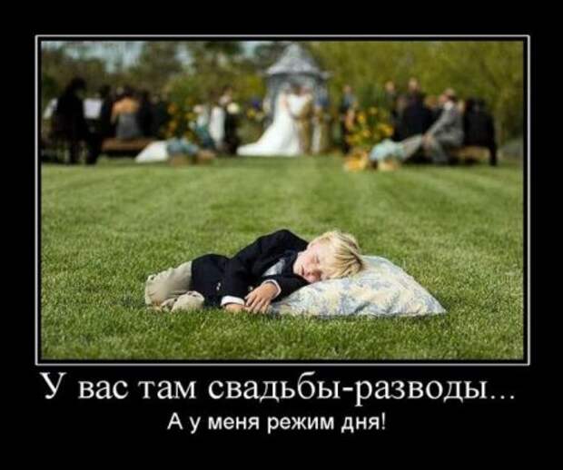 Смешных демотиваторов много не бывает.