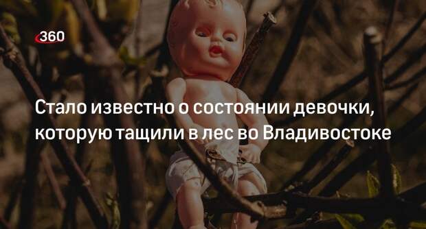 Омбудсмен Романова заявила о помощи девочке, которую несли в лес во Владивостоке