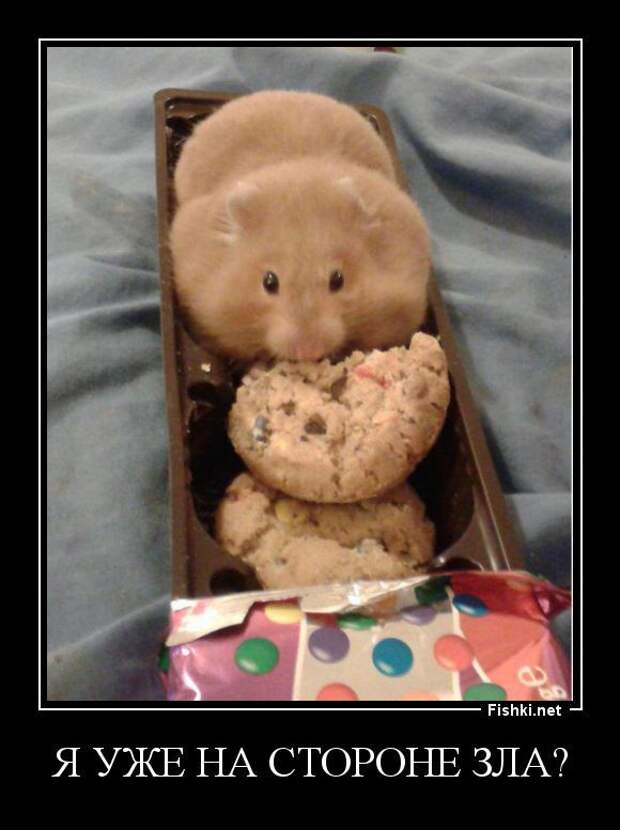 Демотиваторы  демотиваторы, прикол, смех, юмор