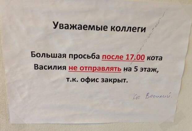 25 убойных народных надписей
